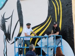 Canvas Murals